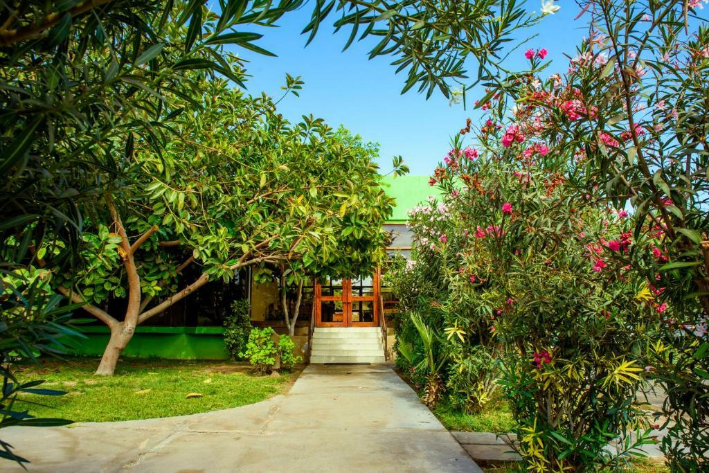 Hotel Del Valle Azapa Arica Buitenkant foto